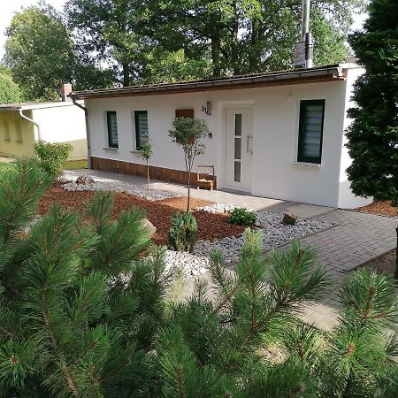 Ferienhaus Regina Neudorf  Bagian luar foto